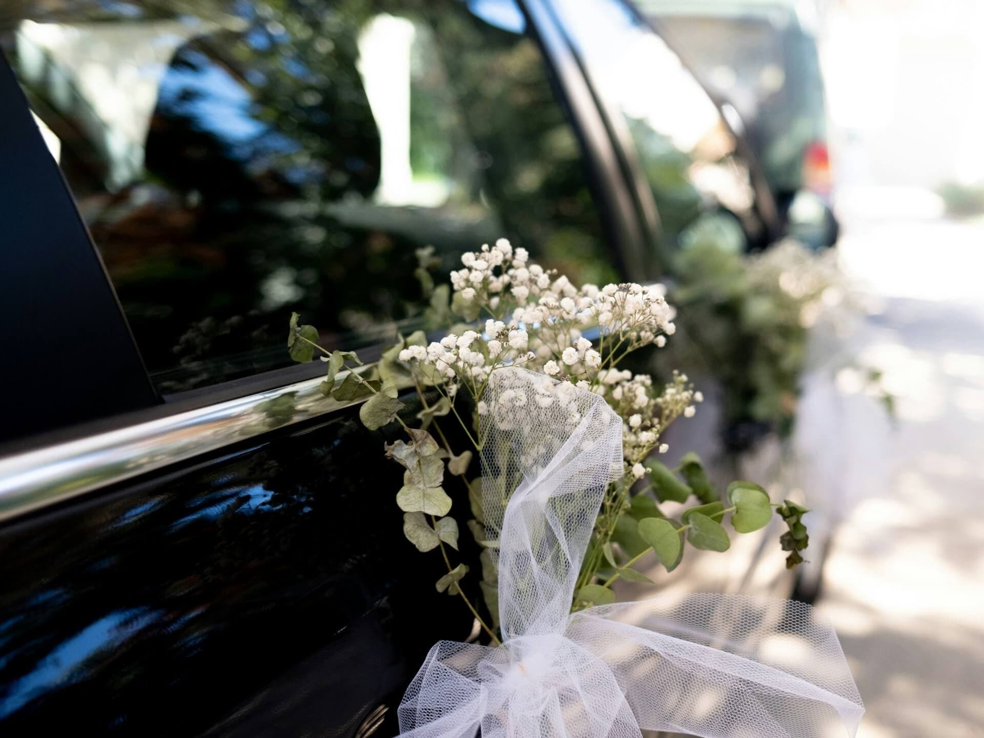 Stretch Limousine detail 2